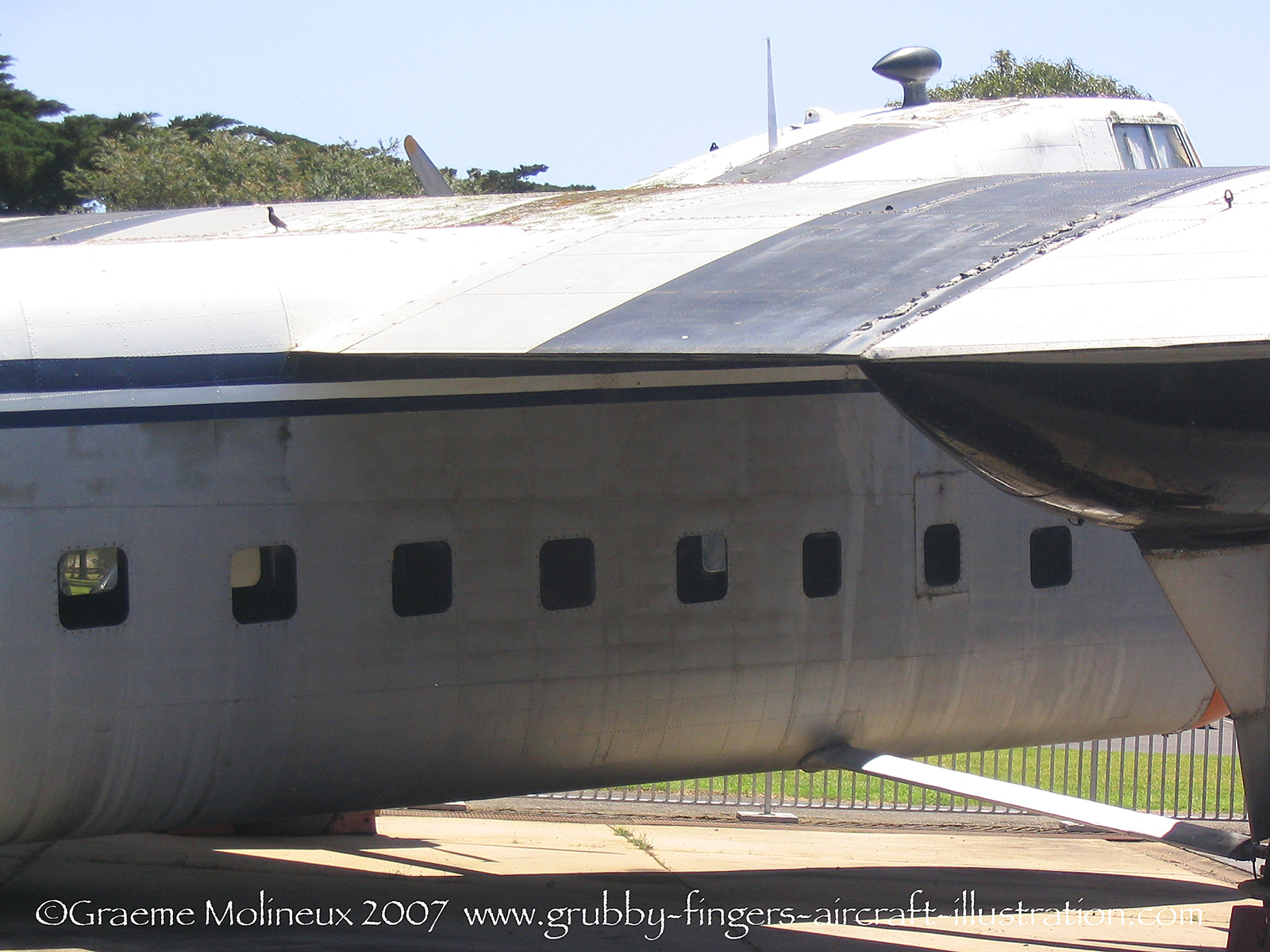 %_tempFileNameBristol%20Freighter%20Walkaround%2053%20GraemeMolineux%