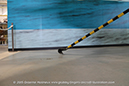 %_tempFileNameFAIREY_Gannet_AS1_Walkaround_XA434_RAN_Nowra_2014_80_GrubbyFingers%