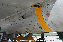 MiG_21_1112_Czech_Miramar_Walkaround_085_GrubbyFingers