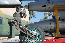 MiG_21_1112_Czech_Miramar_Walkaround_098_GrubbyFingers