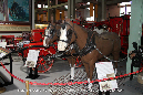 SHAND_MASON_1891_Steam_Fire_Engine_Walkaround_Penrith_2014_27_GrubbyFingers