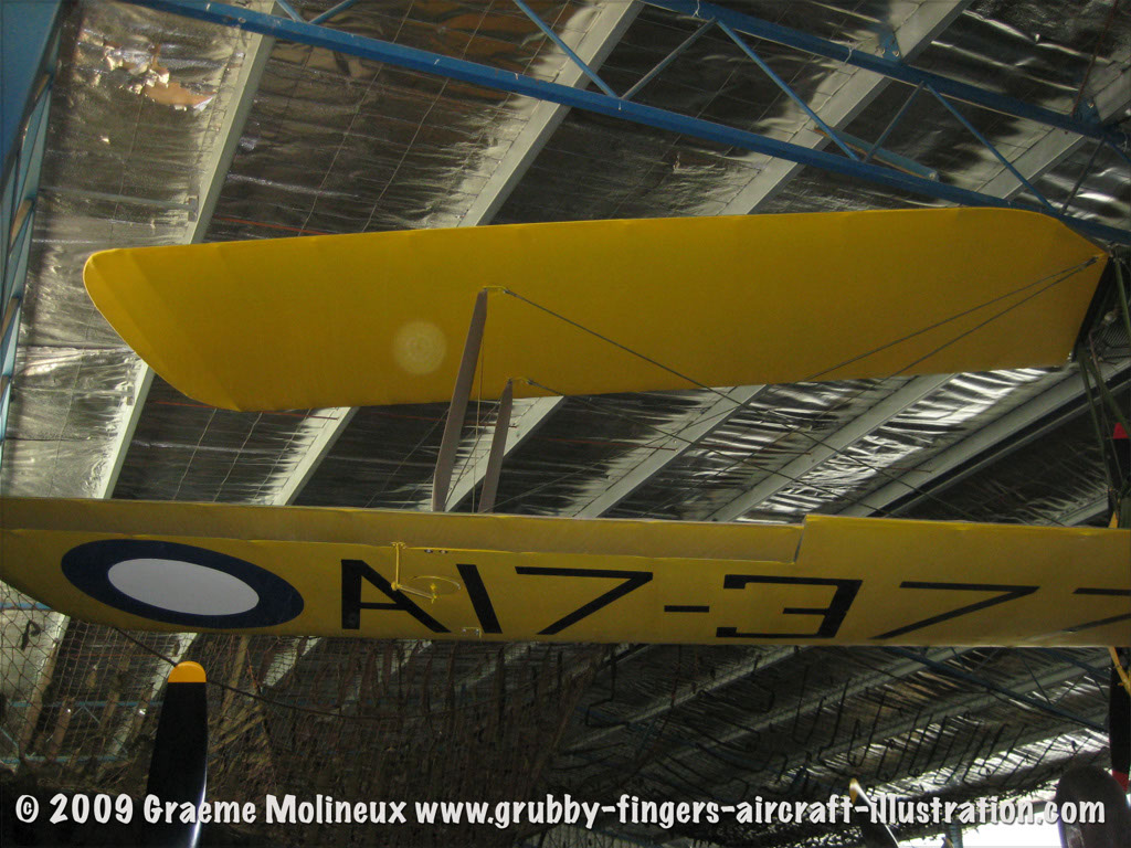 tigermoth_a17-337_27