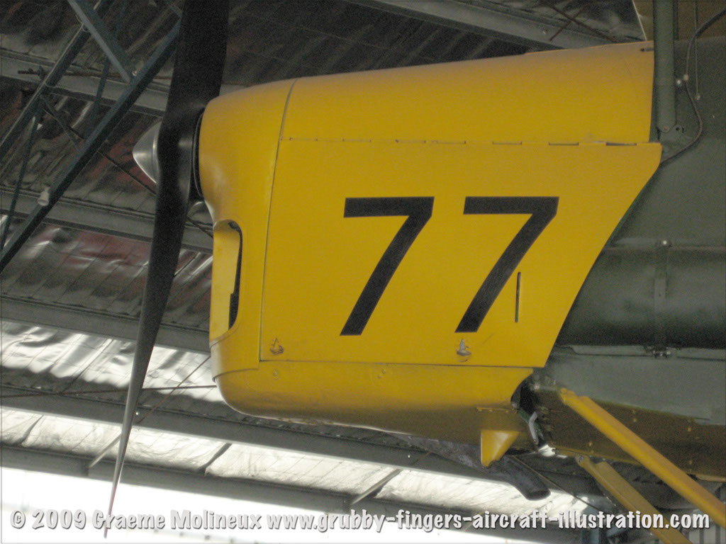 tigermoth_a17-337_31