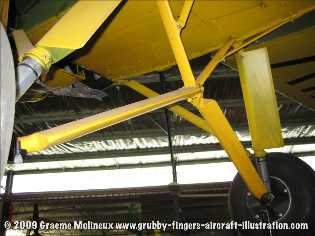 tigermoth_a17-337_35