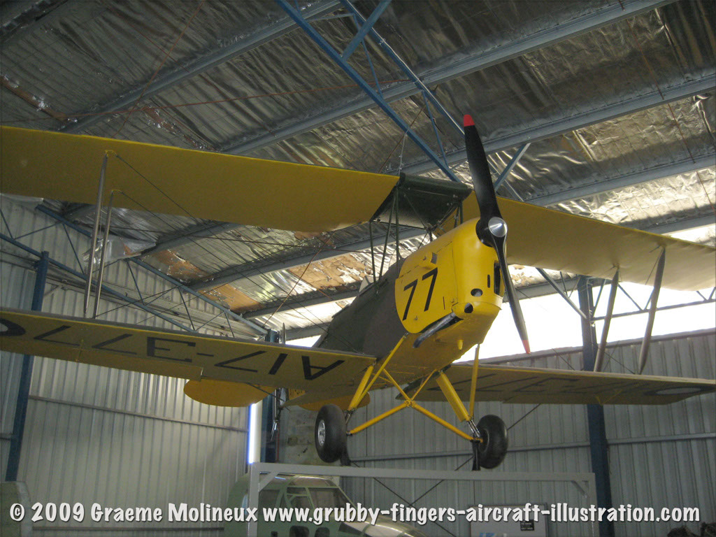 tigermoth_a17-337_36